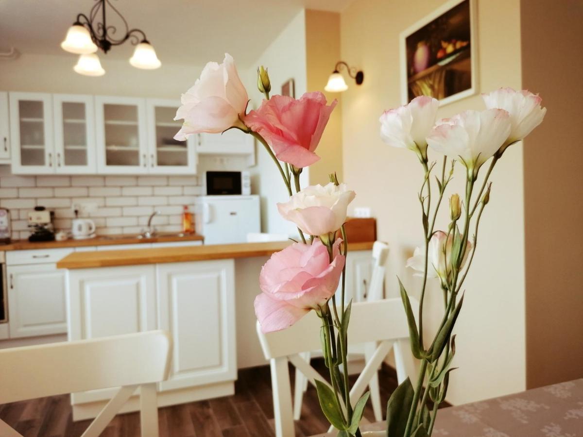 Elisoria Apartments Cserszegtomaj Bagian luar foto