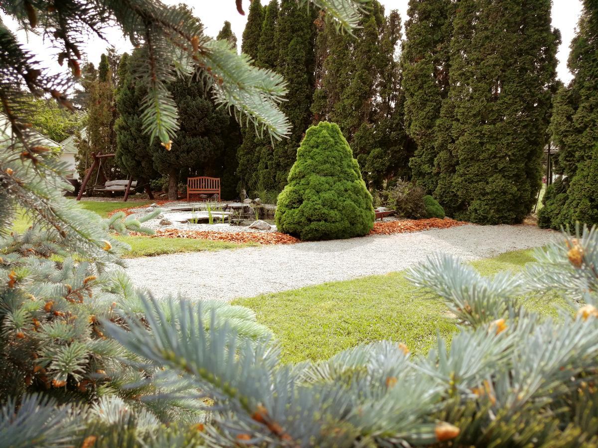 Elisoria Apartments Cserszegtomaj Bagian luar foto